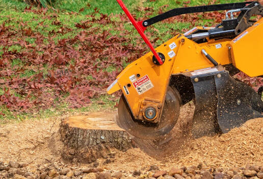 An image of Stump Grinding in Canton, CT
