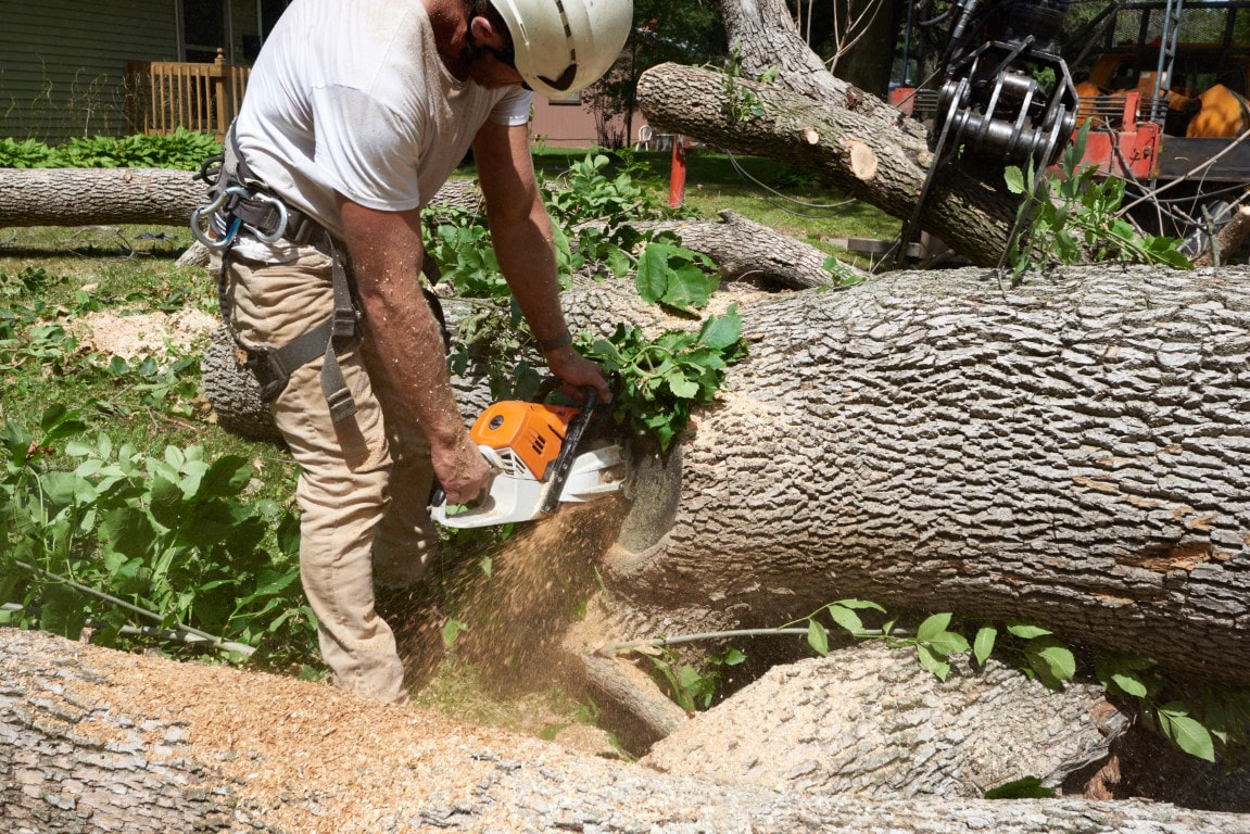An image of a person working on Tree Removal Services in Canton, CT
