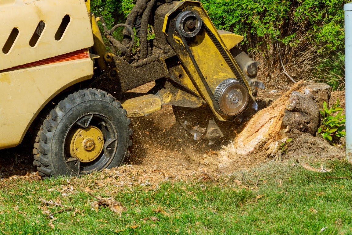 An image of Stump Grinding Services in Canton, CT
